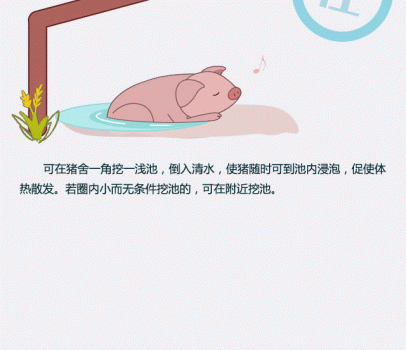 1468209116789_11.gif