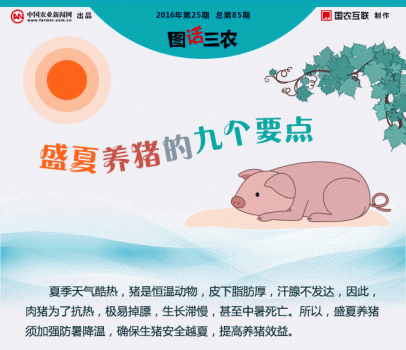 一张图告诉你盛夏养猪的九个要点