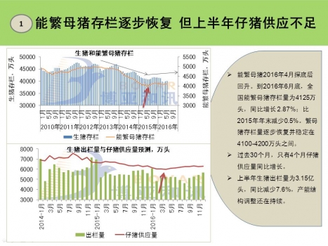 2016上半年生猪市场热点