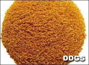 【原创】高粱DDGS与玉米DDGS成分比较
