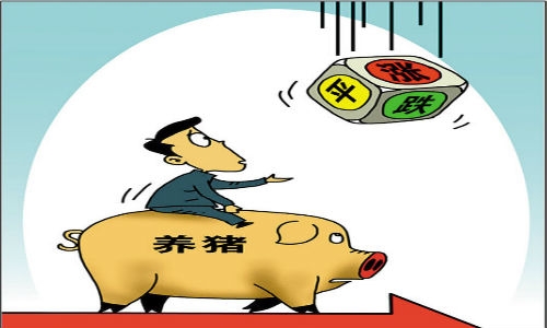 10元猪价不见，未来到底涨还是跌？