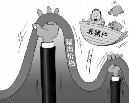 猪价已经接近谷底 还会继续下跌吗？
