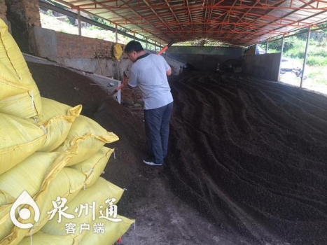 把猪喝的水带回家饮用 猪圈不冲洗臭味却少
