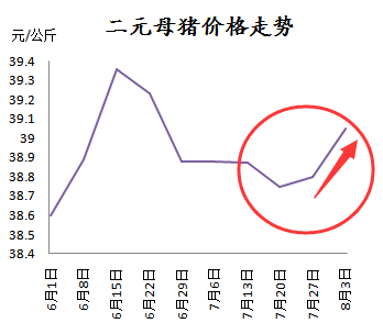 二元母猪仍在涨，这是后期仍要看好的节奏？