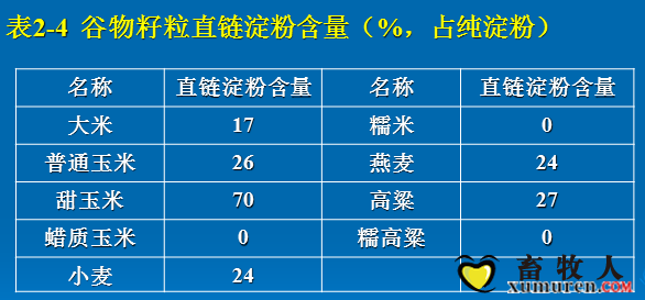 淀粉4.png