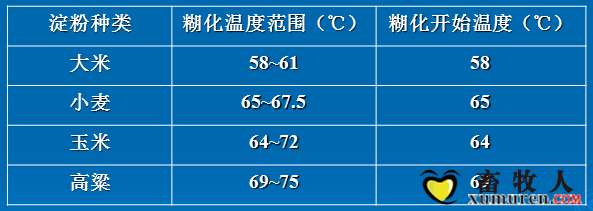 淀粉5.png