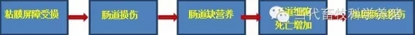 肠1.webp.jpg