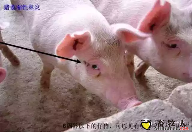 QQ图片20160830110126.png