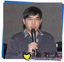 何启盖.png