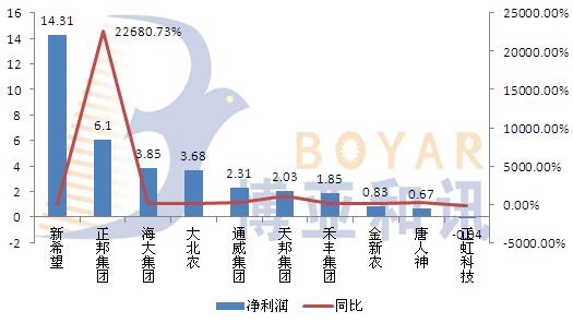 博野2.jpg