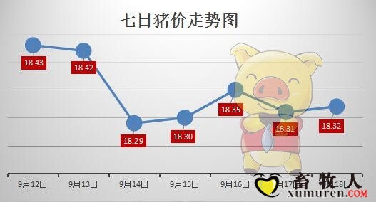 猪e1.jpg