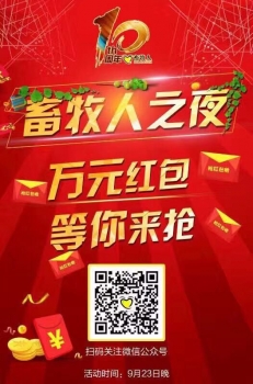 红包来袭.jpg