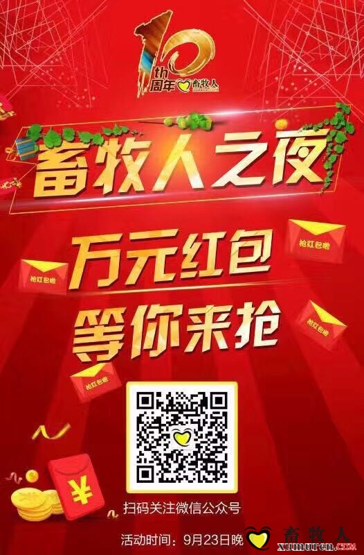 红包来袭.jpg