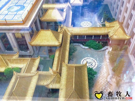 万1_副本.jpg