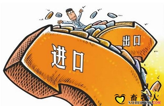 进口_副本.jpg