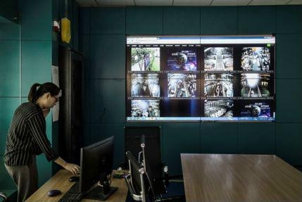 美媒：中国新型养猪场不用抗生素，猪肉价格贵两倍