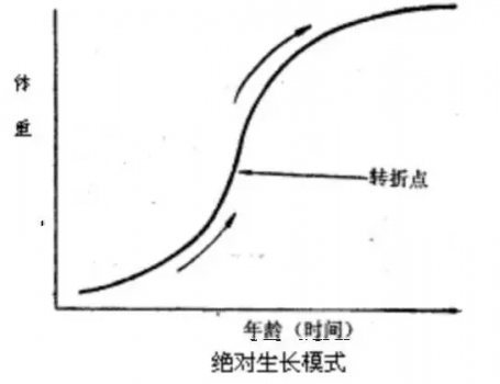 0202.webp.jpg