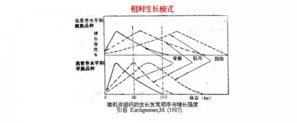 0404.webp.jpg