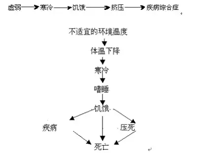 0606.webp.jpg