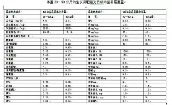 0909.webp.jpg