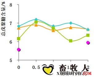 玉米14.jpg
