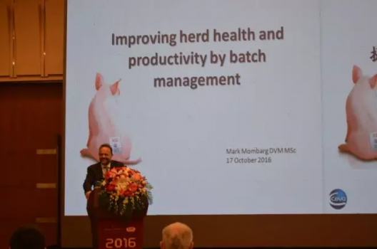 【笔记】通过批次管理提高畜群健康和生产效率