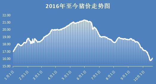 南方猪价重回8元/斤，北方猪价小幅涨跌调整