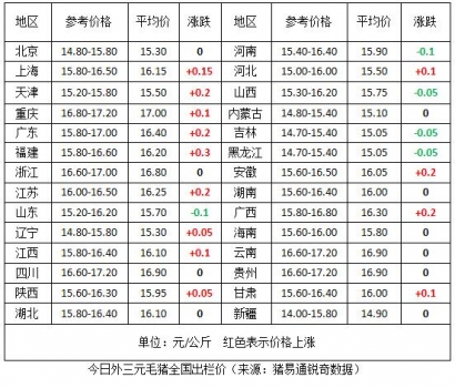 猪23.jpg