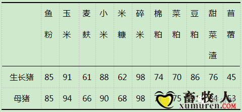 王3.png