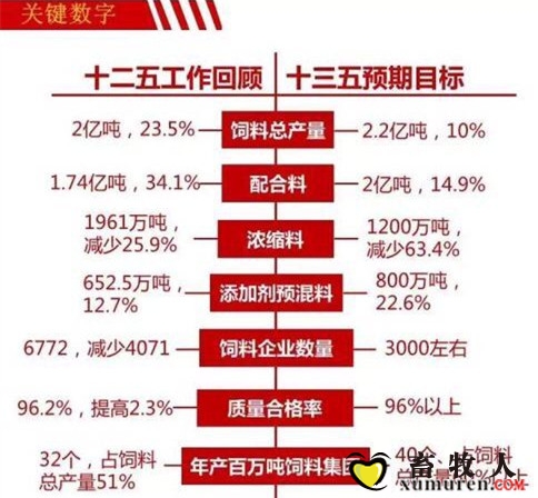 135刮花_副本.jpg