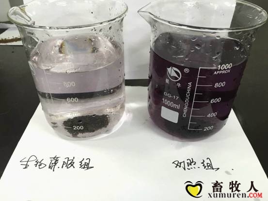 结果.jpg