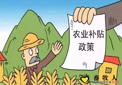 补贴.jpg