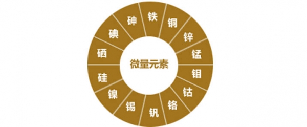 母猪繁殖成功需要的微量元素