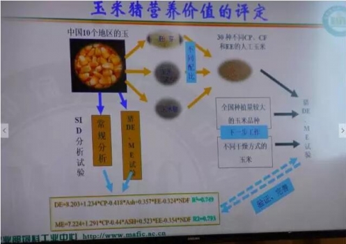 李德3.jpg