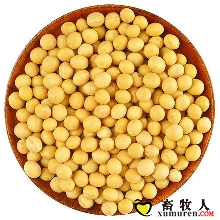 大豆.jpg