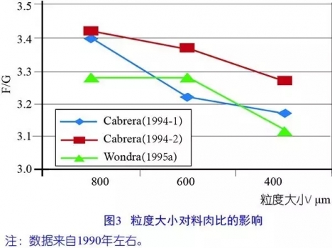 6.webp (1).jpg