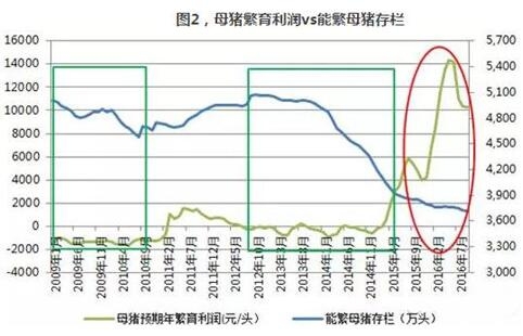 母猪存栏：禁养政策和新建项目的跑步竞赛