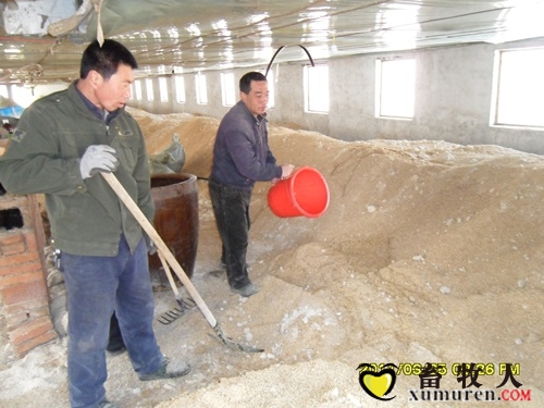 发酵床养猪SAM_0233.JPG