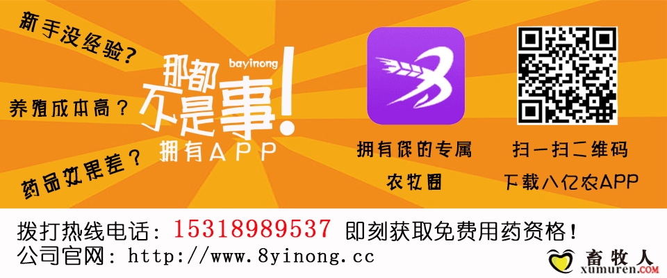 黔驴技穷2.jpg