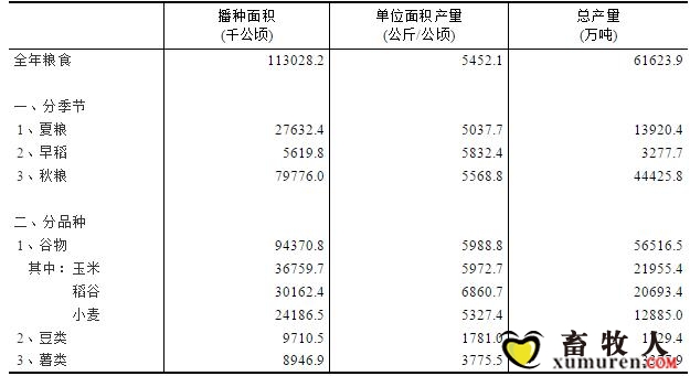 玉米1.jpg