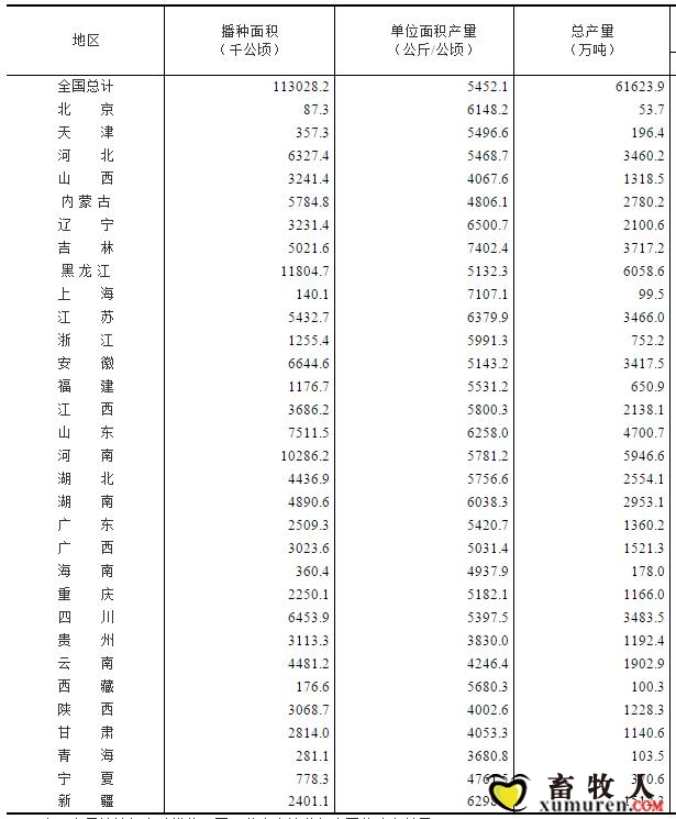 玉米2.jpg