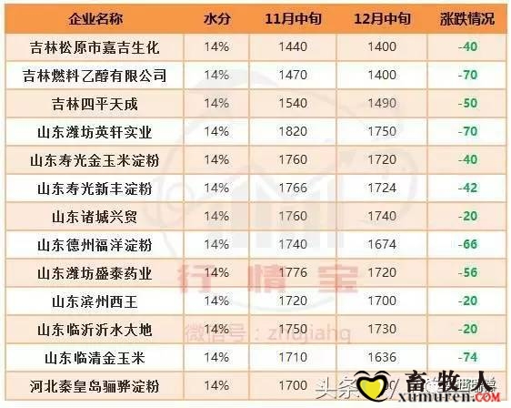 玉米3.jpg