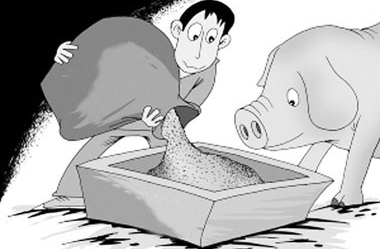 畜牧业以后工作的方向以及17年政策支持的重点