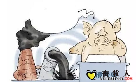 环境.jpg