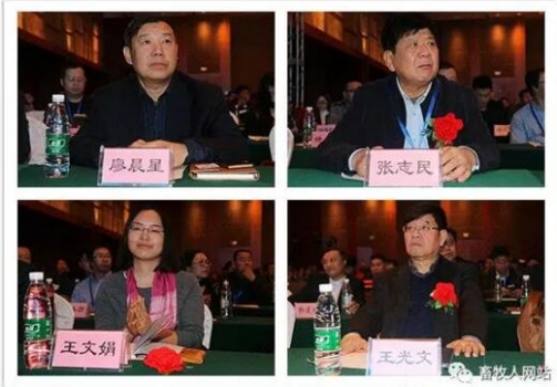 亚13.jpg