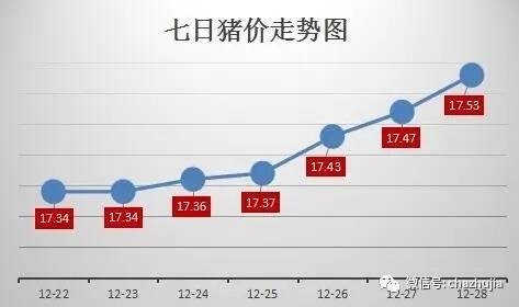 东北反弹 猪价持续上涨 金猪年即将画上圆满句号