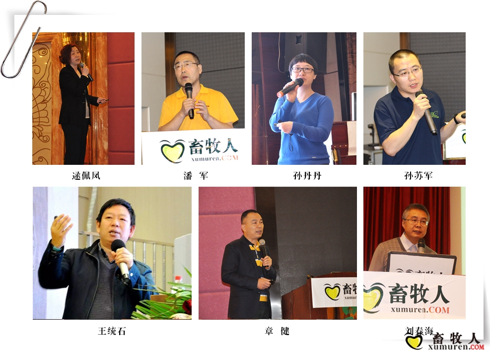讲师 (2).jpg