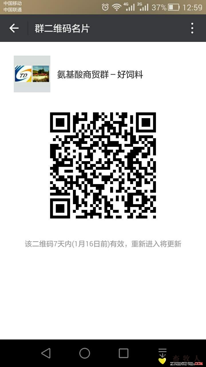 243476430930759038.jpg