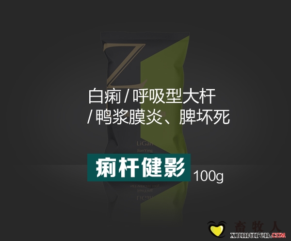 痢杆健影