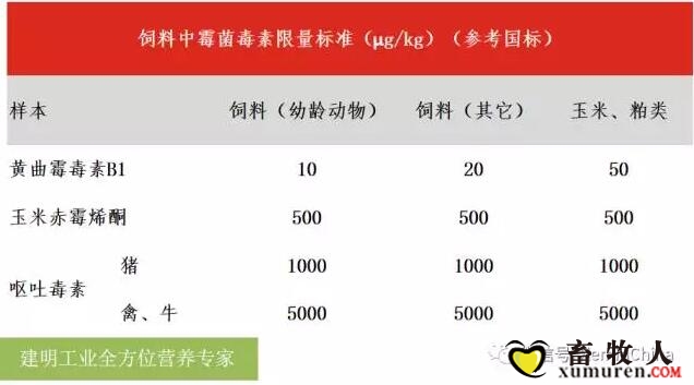 建2.jpg